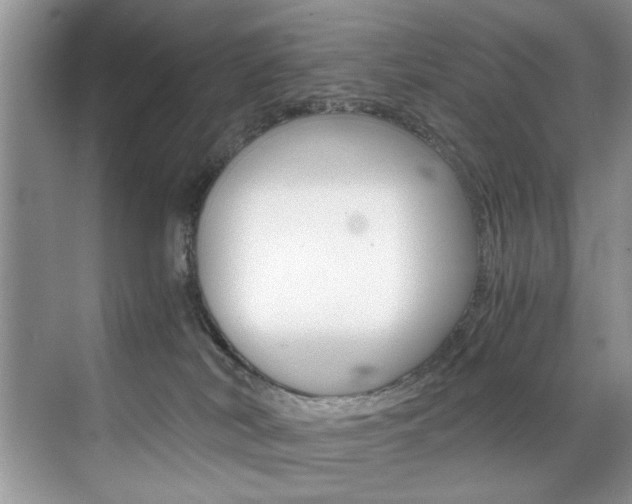 X0000071950038200607071050