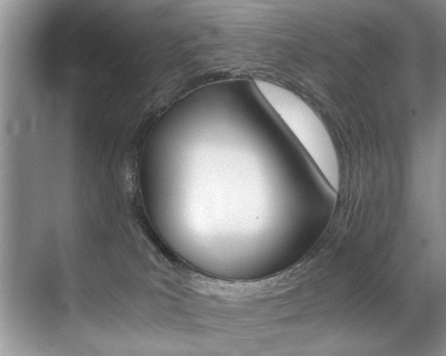 X0000071950039200607071050