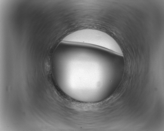 X0000071950040200607071050