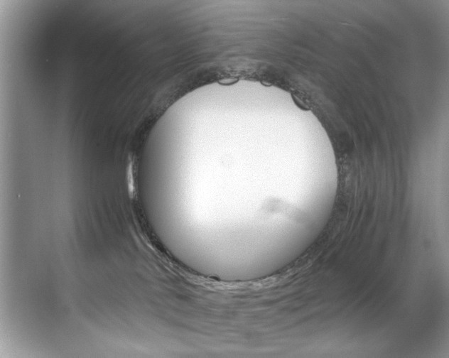 X0000071950042200607071050