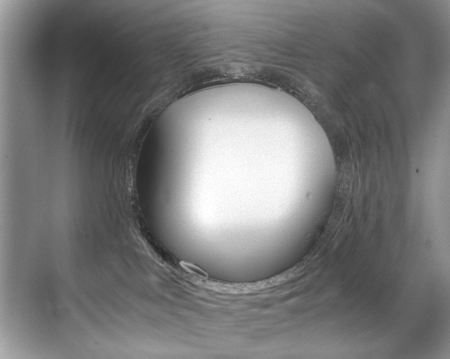 X0000071950043200607071050