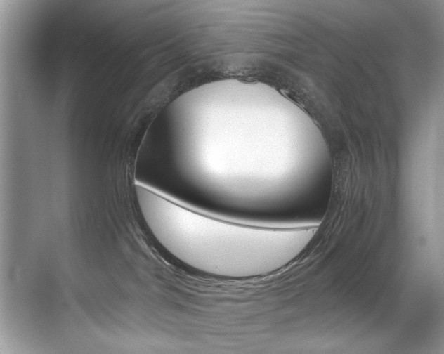 X0000071950044200607071050