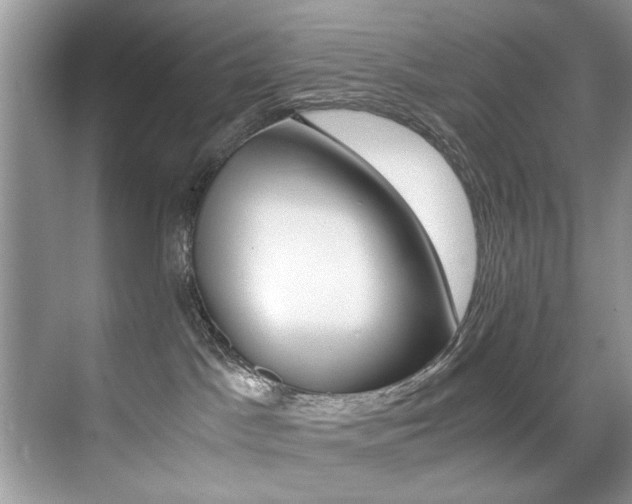 X0000071950045200607071050