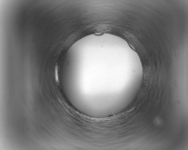 X0000071950046200607071050