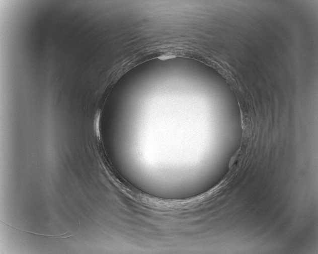 X0000071950047200607071050