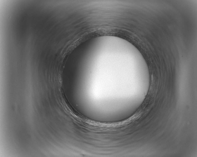 X0000071950048200607071050