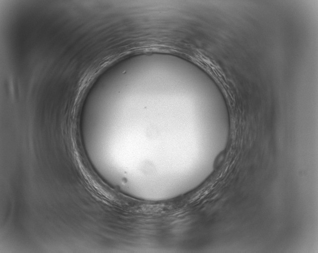 X0000071950049200607071049