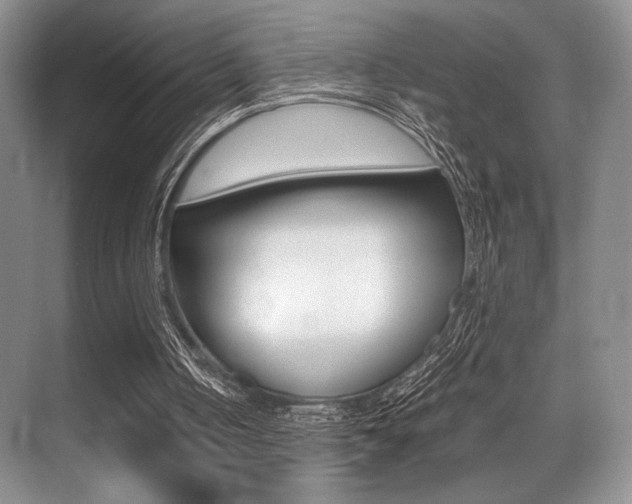 X0000071950050200607071049