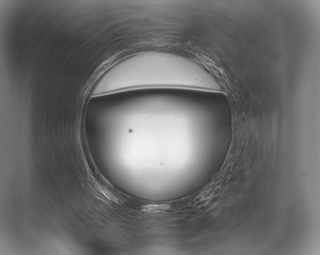 X0000071950051200607071049