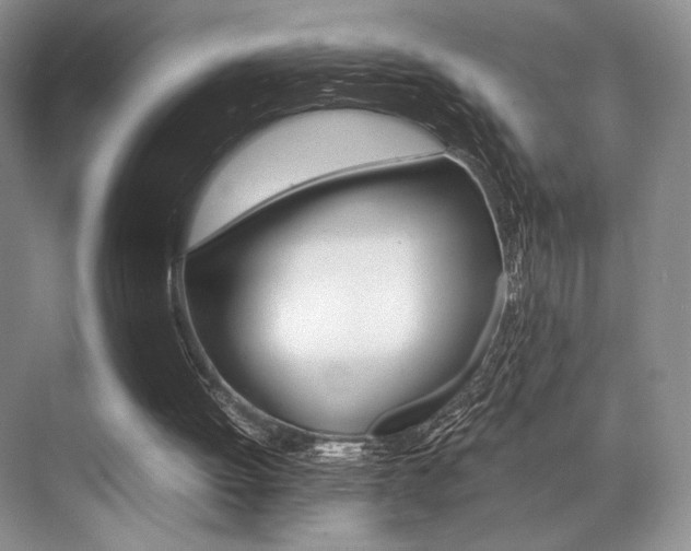 X0000071950052200607071049