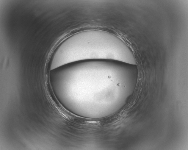 X0000071950053200607071049