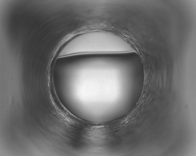 X0000071950054200607071049