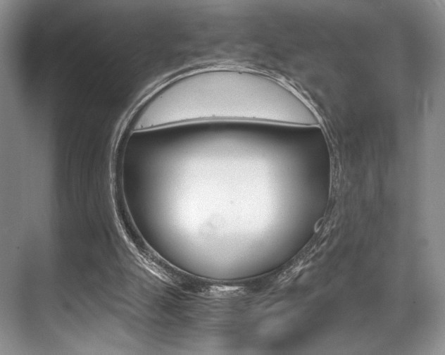 X0000071950055200607071049