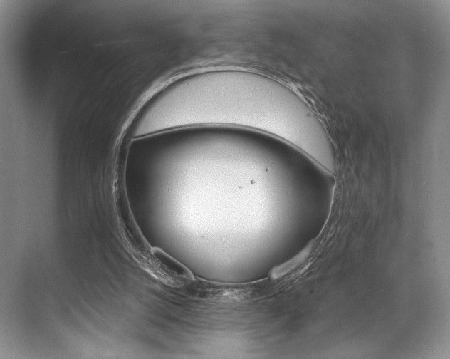 X0000071950056200607071049