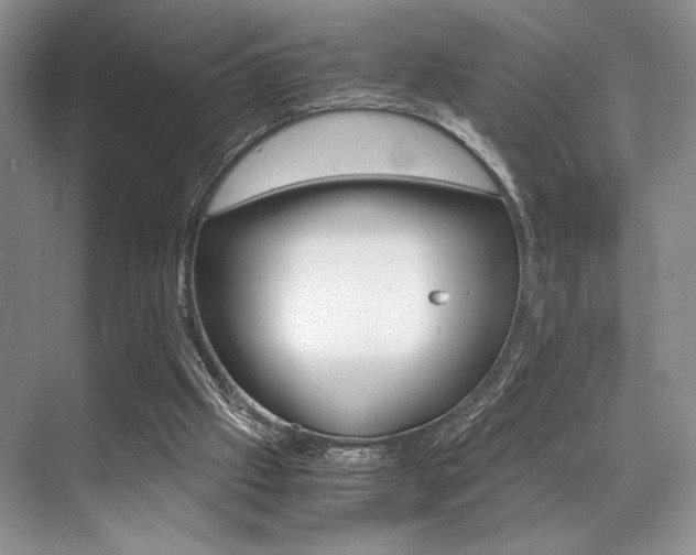 X0000071950057200607071049