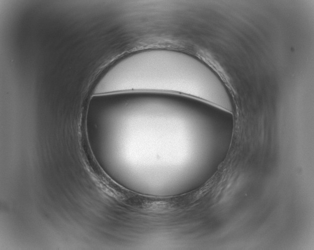 X0000071950058200607071050