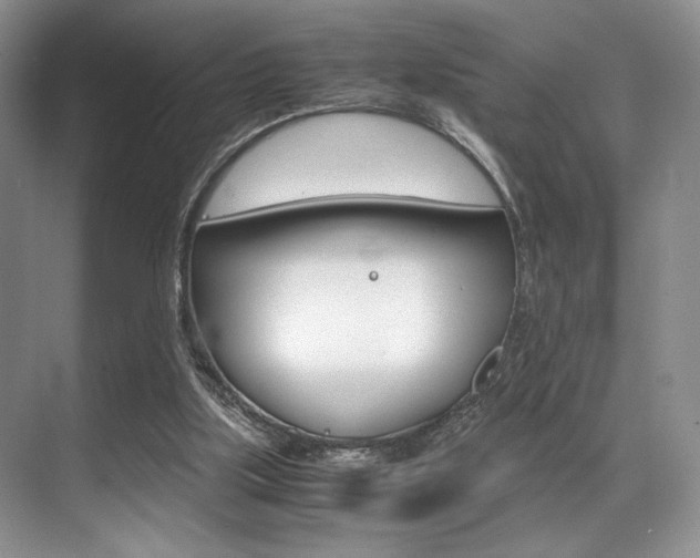 X0000071950059200607071050