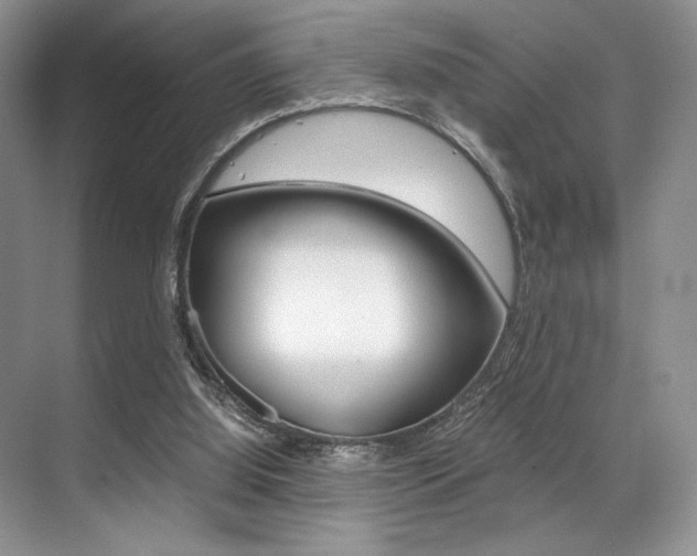 X0000071950060200607071050