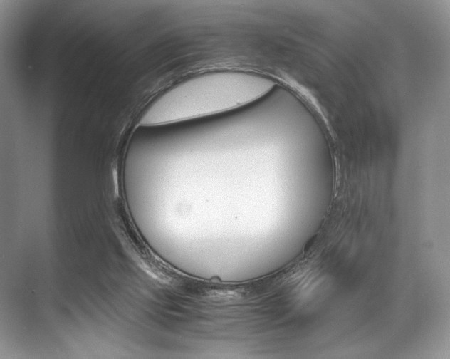 X0000071950061200607071050