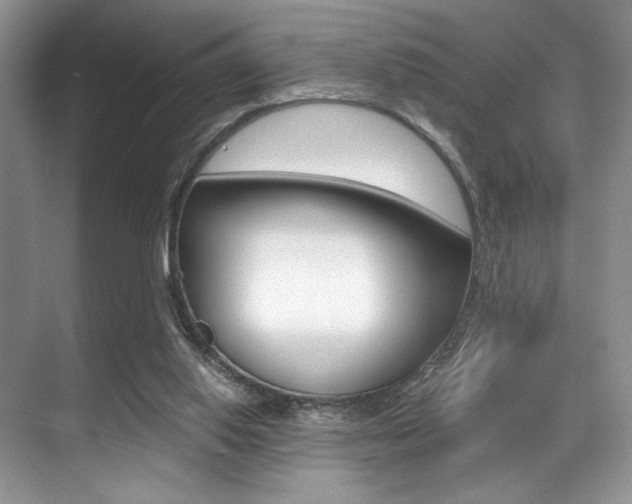 X0000071950062200607071050