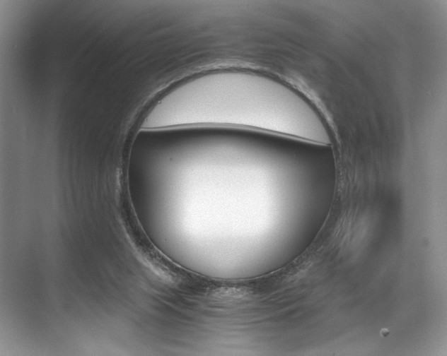 X0000071950063200607071050