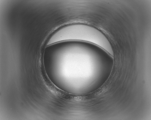 X0000071950064200607071050