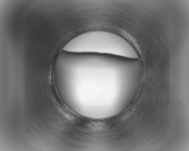 X0000071950065200607071050