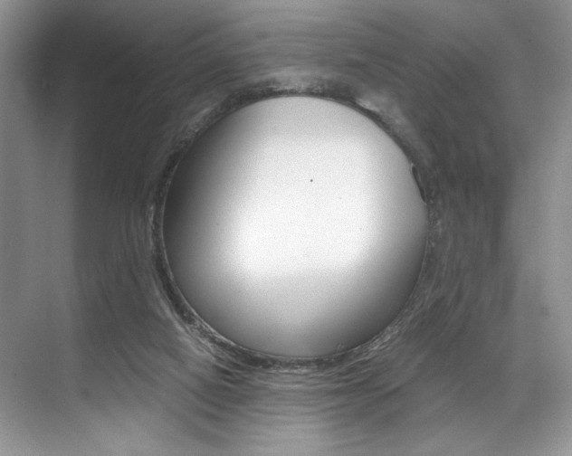 X0000071950066200607071050