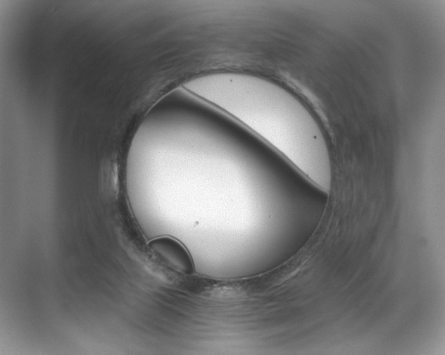 X0000071950067200607071050