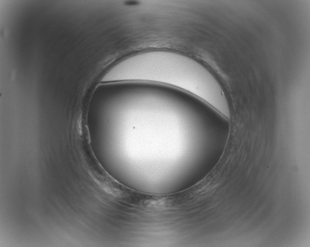 X0000071950068200607071050