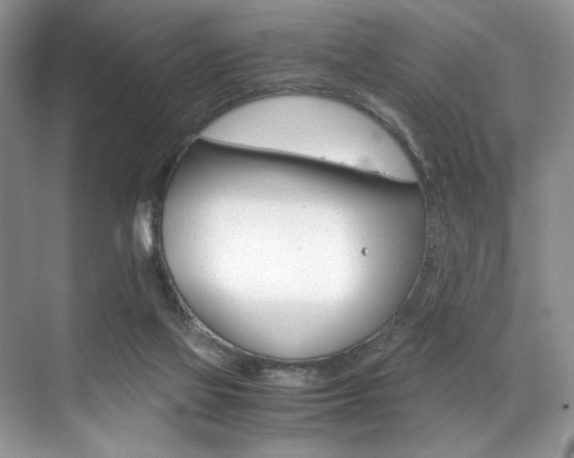 X0000071950069200607071050