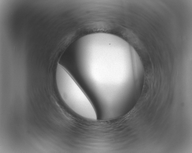 X0000071950070200607071050