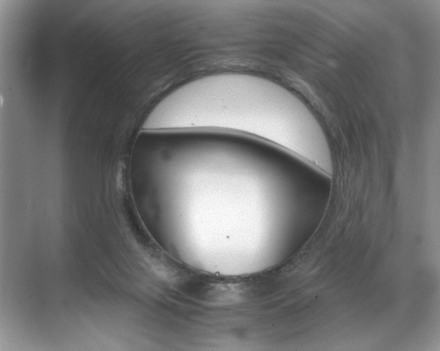 X0000071950071200607071050