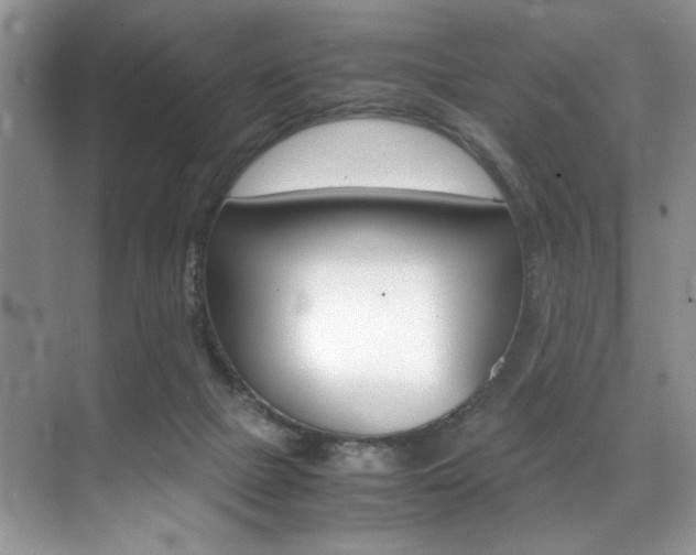 X0000071950073200607071050