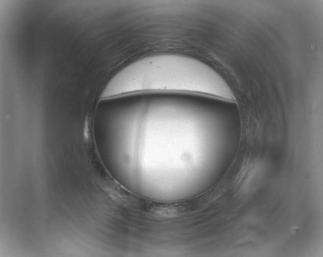 X0000071950075200607071050