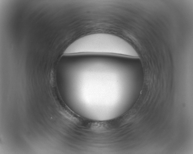 X0000071950077200607071050