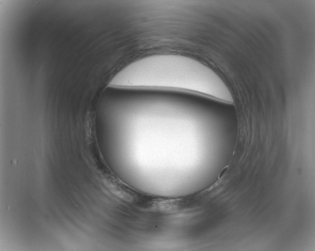 X0000071950078200607071050