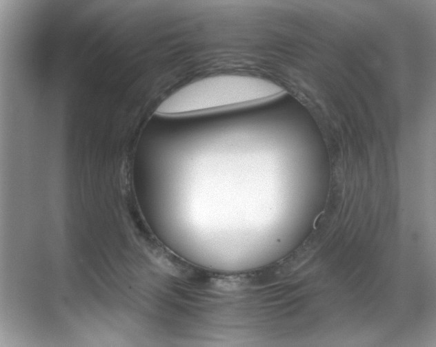 X0000071950079200607071050