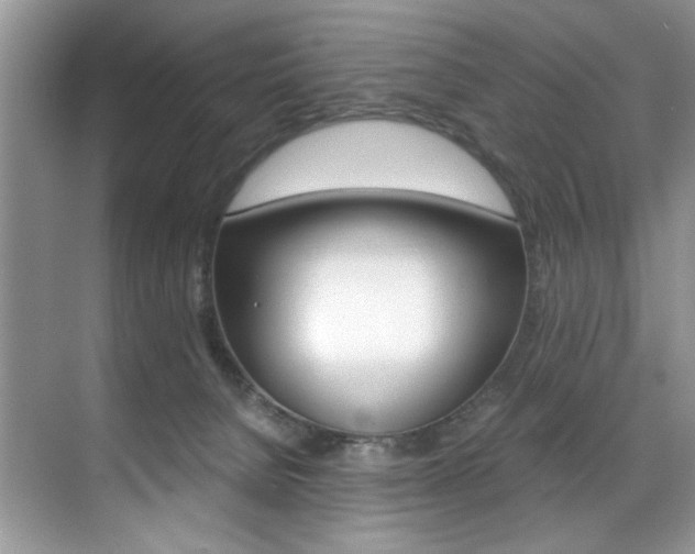 X0000071950080200607071050