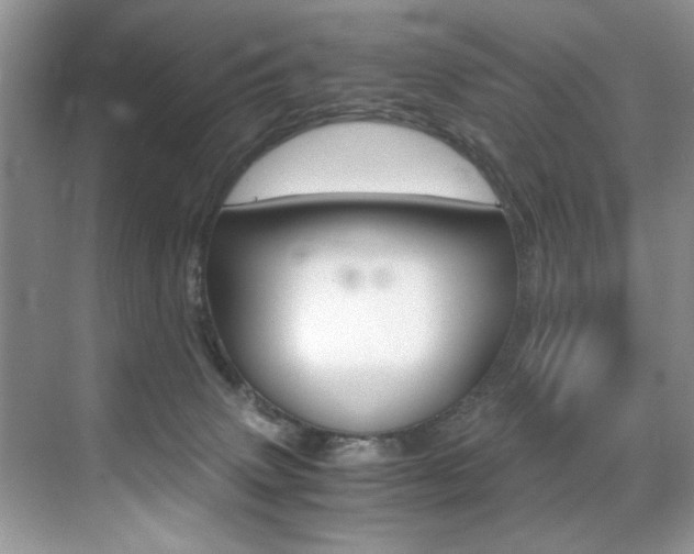 X0000071950083200607071050