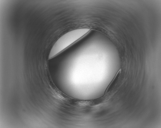 X0000071950085200607071050