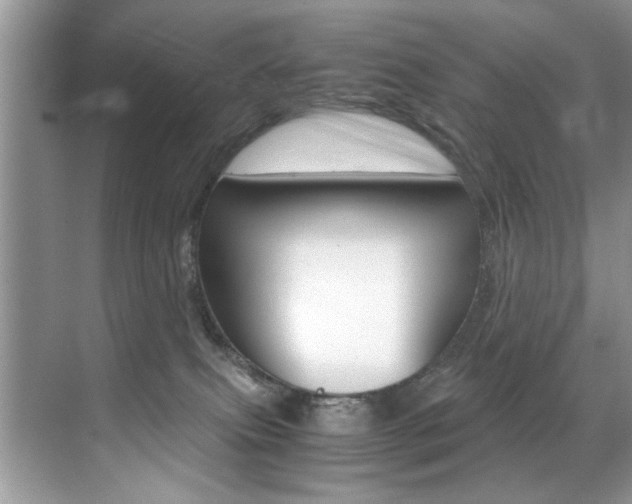 X0000071950087200607071050