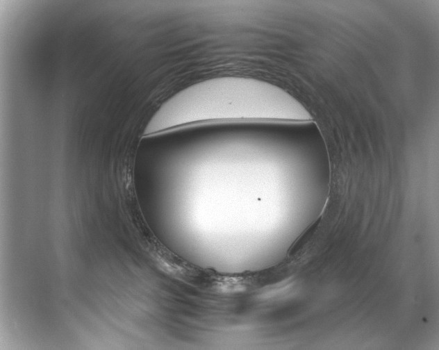 X0000071950091200607071050