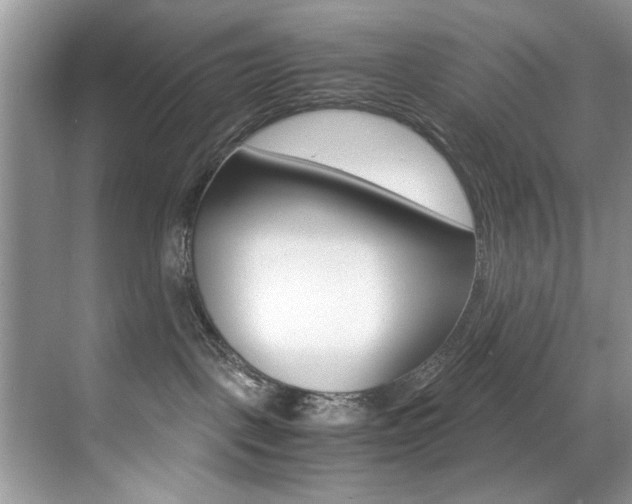 X0000071950093200607071050