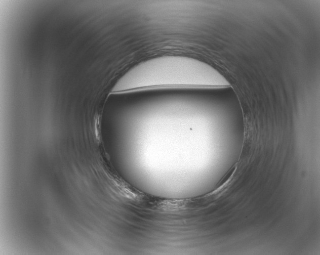 X0000071950094200607071050