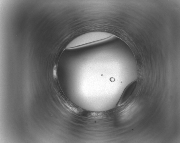 X0000071950095200607071050