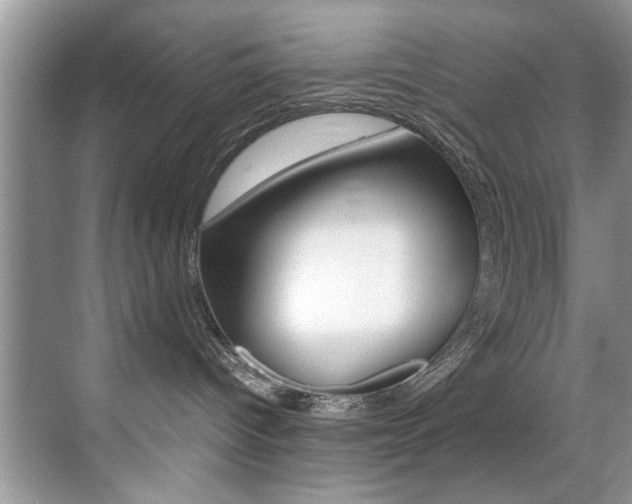 X0000071950096200607071050