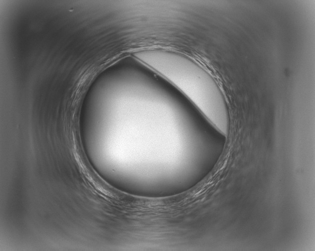 X0000071950097200607071049