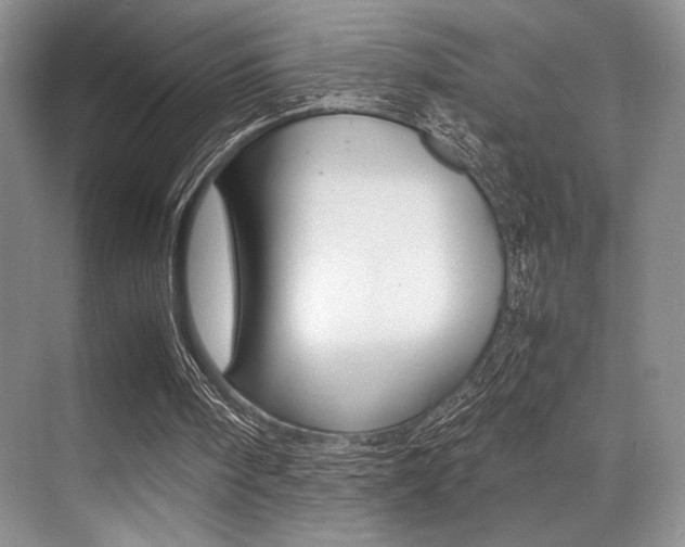 X0000071950098200607071049