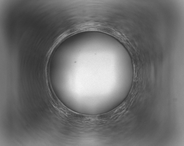 X0000071950099200607071049